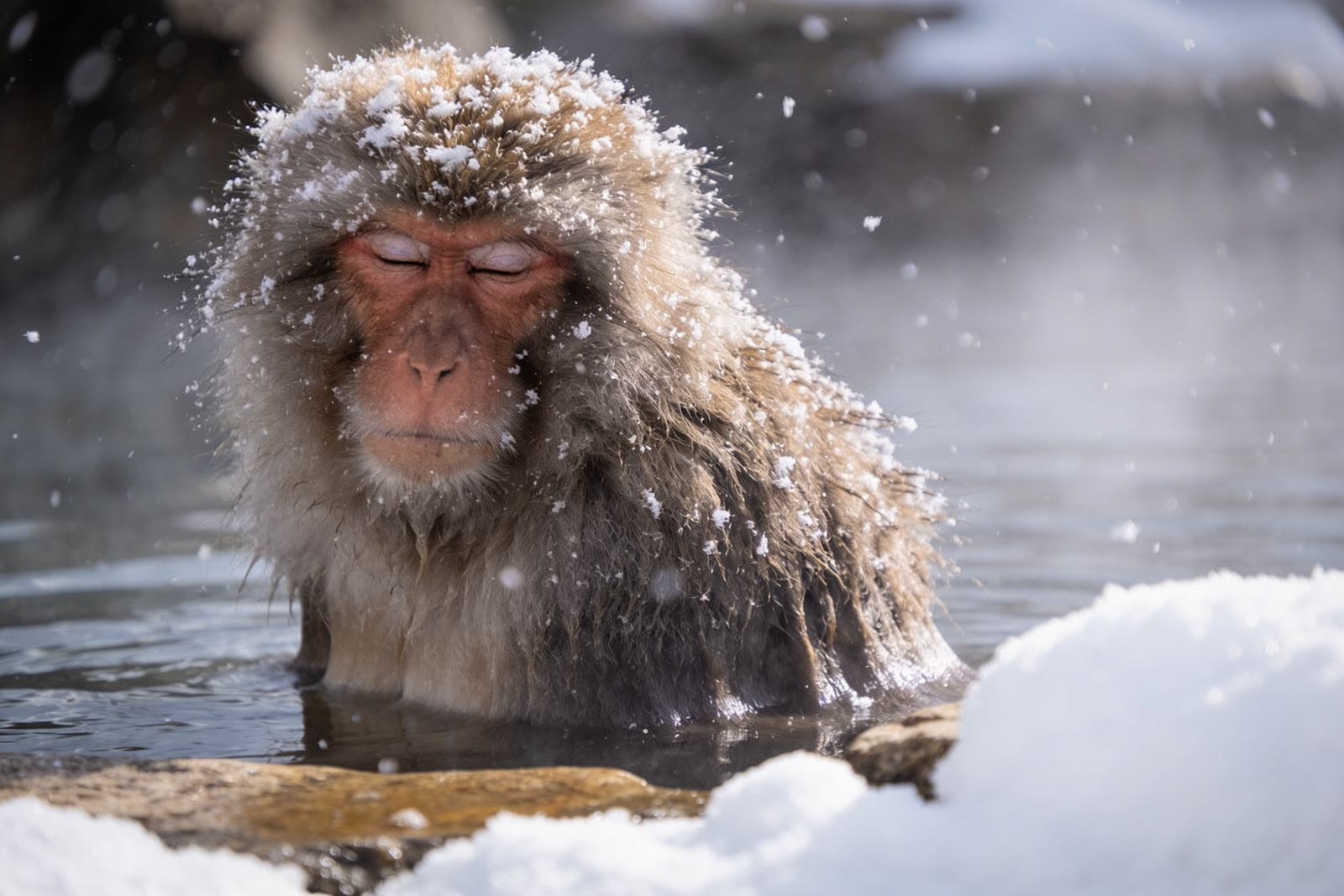 Warm Water, Mountain hot spring