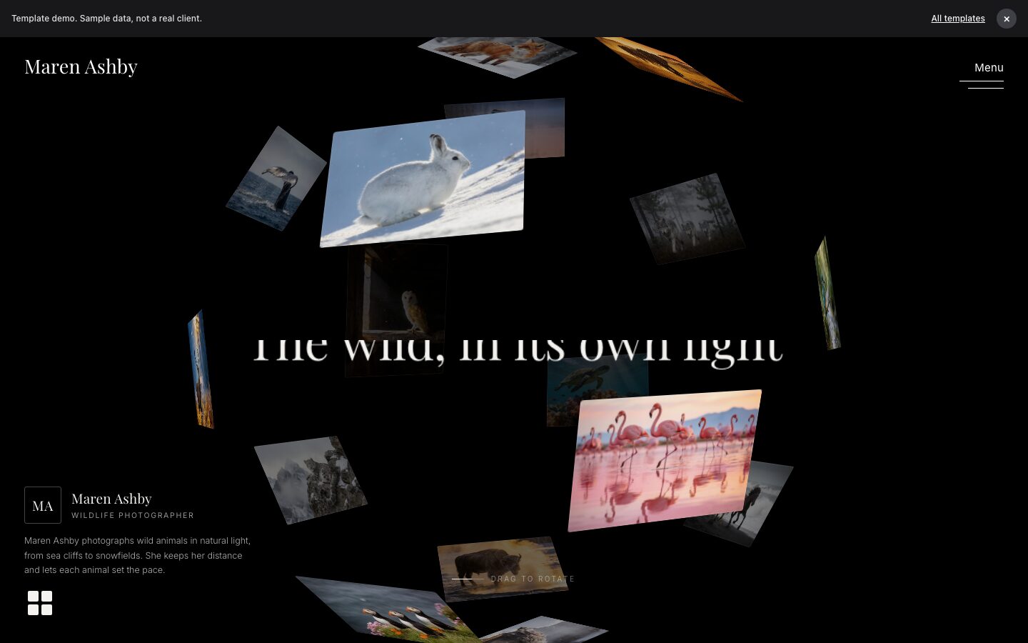 Photo Sphere website preview